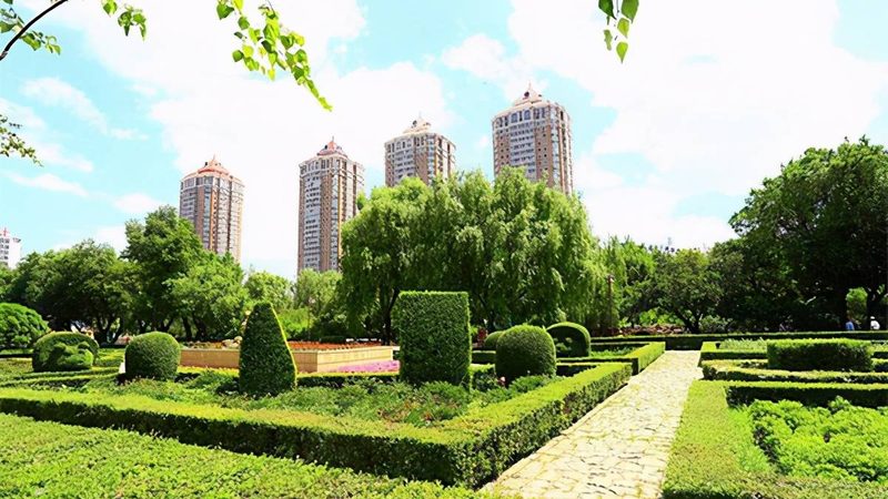 园林苗木种植，这些技术视频教学你不可错过**