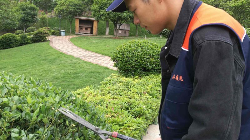 园林绿化土建工程资质要求解析**