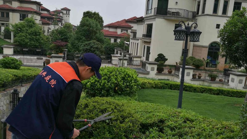小型苗木种植加盟扶持政策解析：扶持力度与加盟要点**