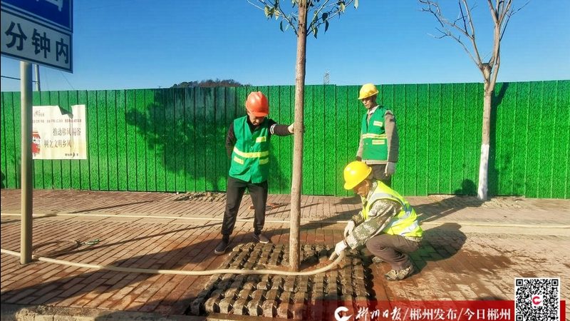 上海别墅花园设计：类型与风格的完美融合**