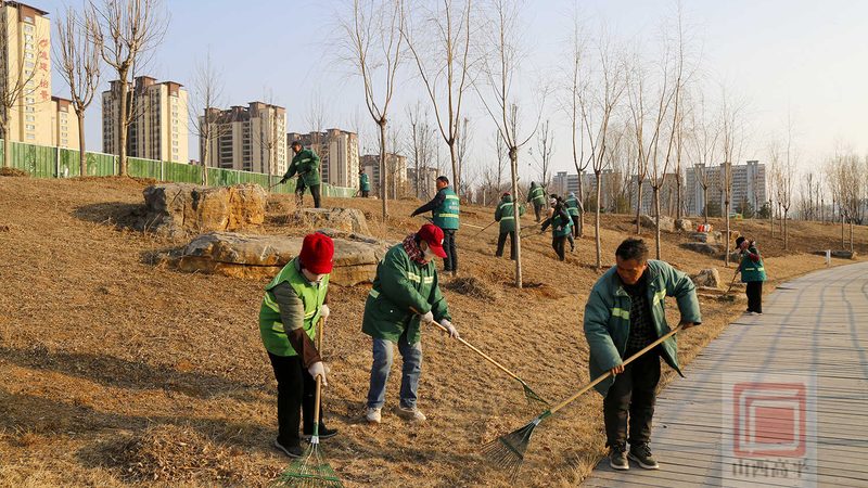 苗木种植技术视频教程分类：从入门到精通的系统化学习路径