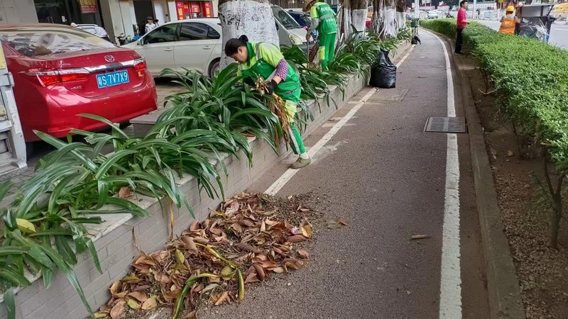 北京立体绿化人工草坪与真植物对比