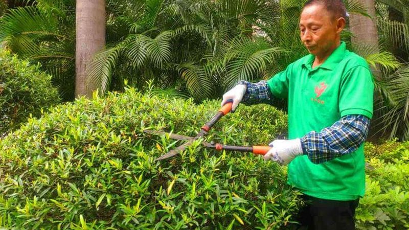 商场花卉租摆，如何挑选十大品牌？**