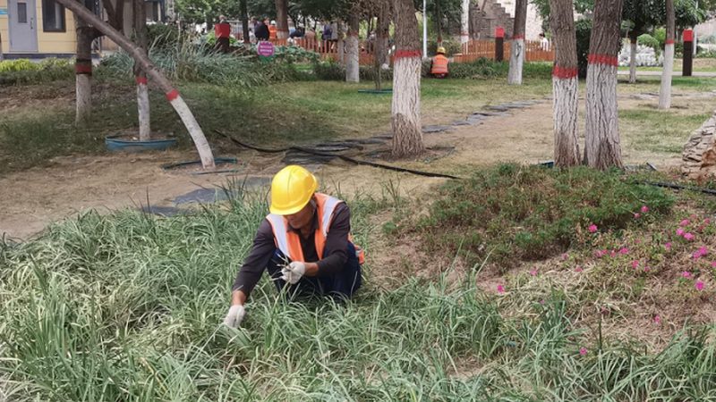 小区园林景观设计效果图收费标准揭秘**