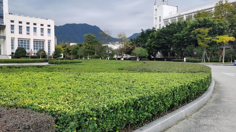 厂区绿化设计多少钱一平米