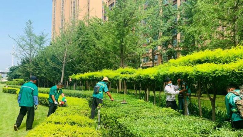 庭院假山喷泉材质揭秘：如何挑选合适的石材
